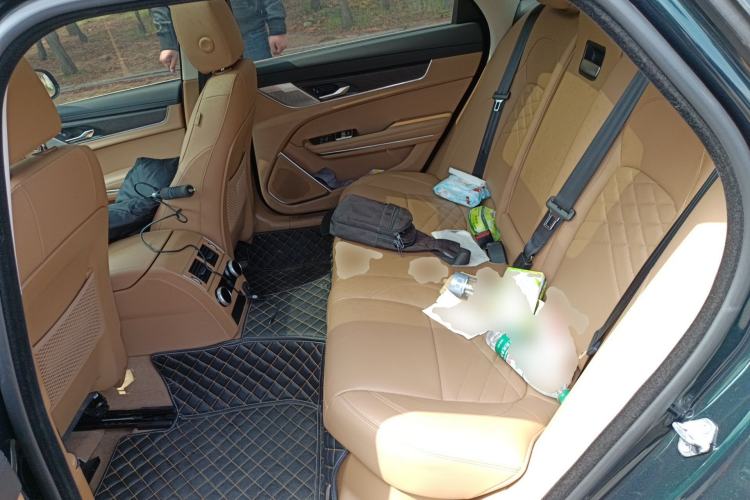 Used Jaguar XFL 2023 XFL 2.0T P250 Two-Wheel-Drive Prestige Luxury Gold Edition Left Rear Seat