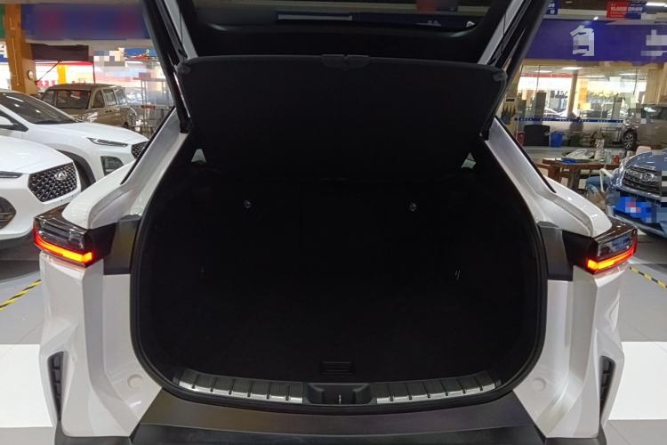 Used Lexus RZ 2023 450e All-Wheel Drive Luxury Edition