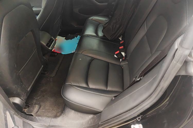 Used Tesla Model 3 2020 Revised Version Standard Range Rear-Wheel Drive – Upgraded Edition
