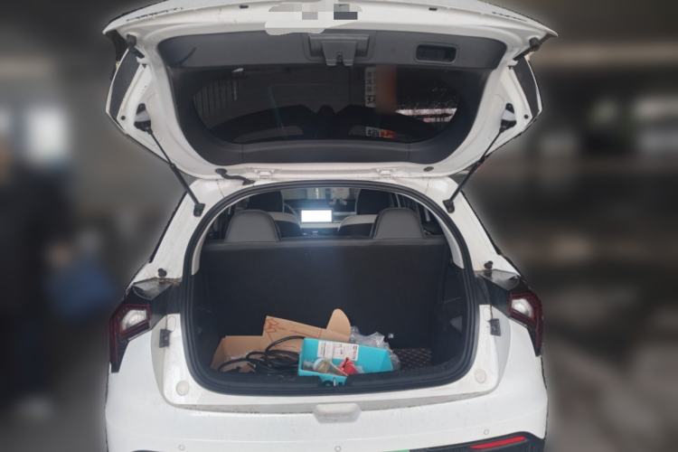 Used Geometry E Firefly 2022 401 km Linglong Tiger 4 Seats
