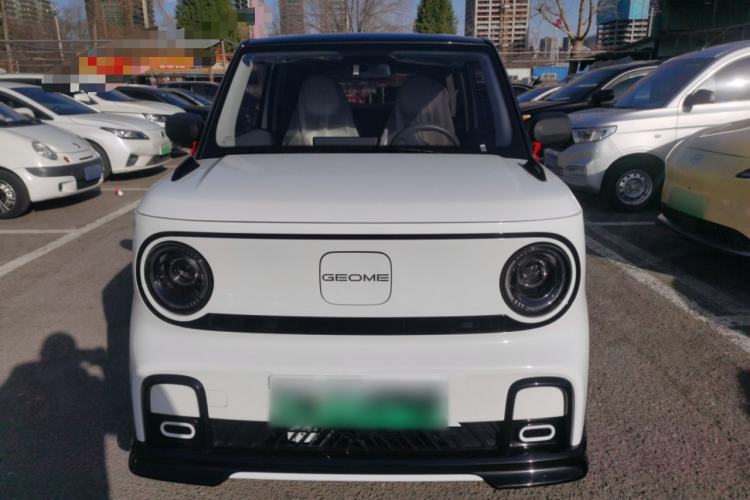 Used Geely Galaxy Panda 2025 210km Panda Kart