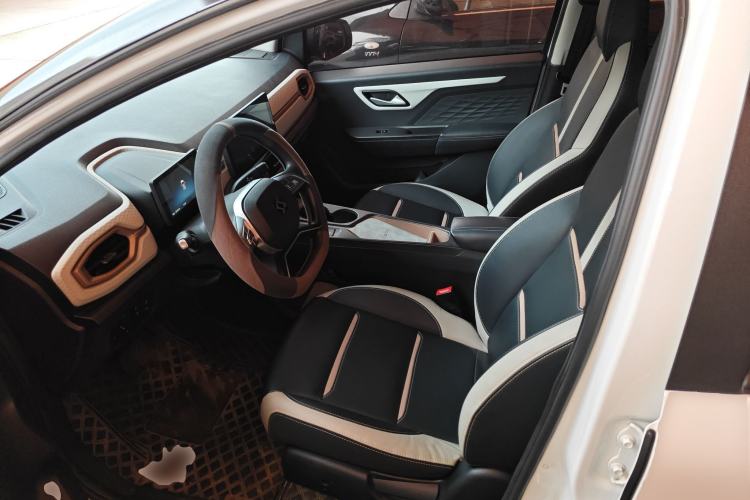 Used SOL E10X 2022 Flower Fairy Design Four-Leaf Clover Left Front Seat