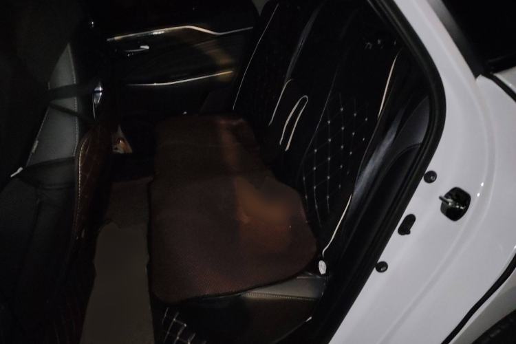 Used AION S Plus 2023 80 Tech Edition Ternary Lithium Left Rear Seat