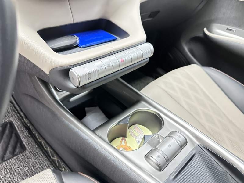 Used BYD Dolphin 2025 420km Free Edition — 39