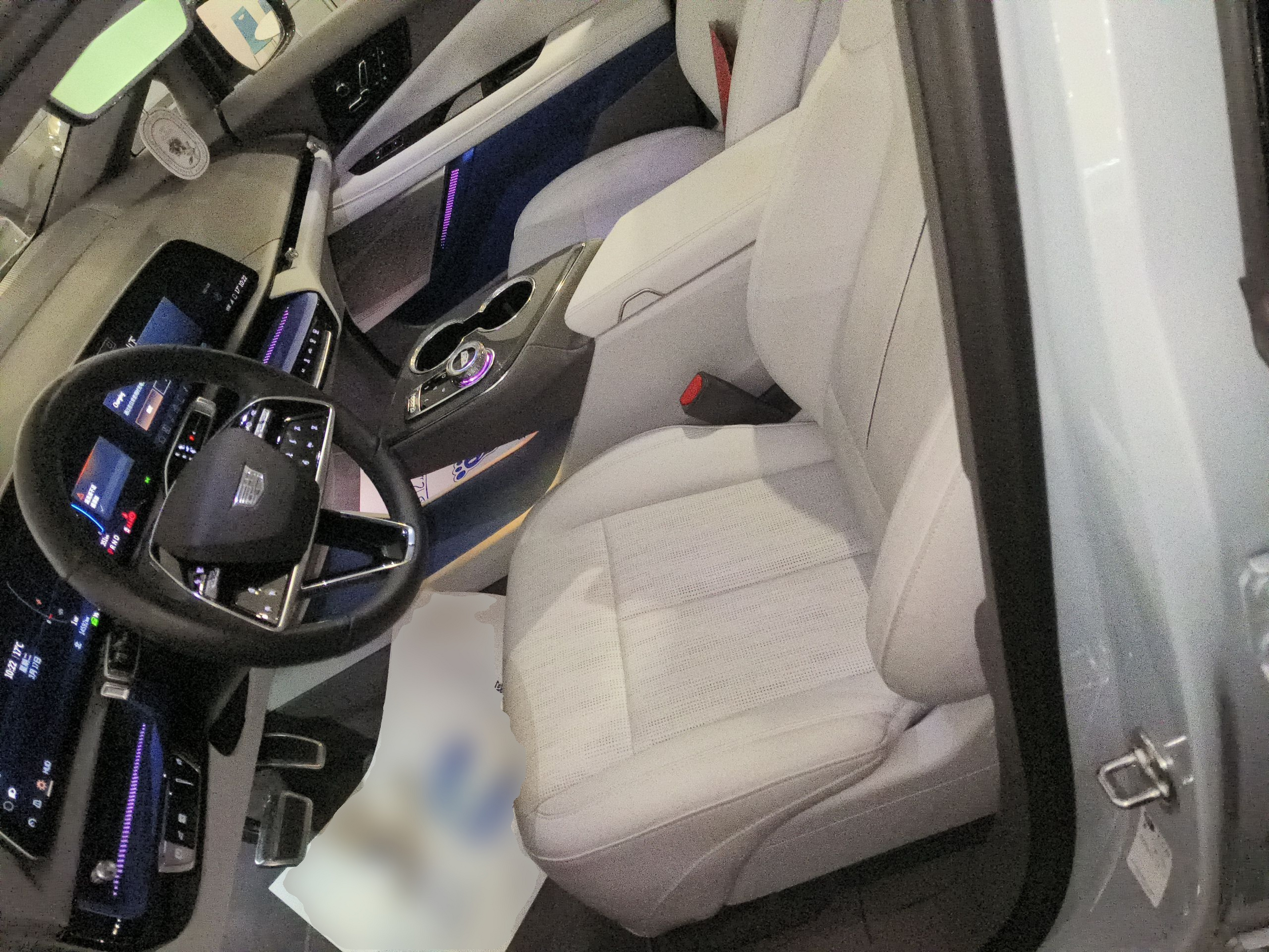 Interior delantero