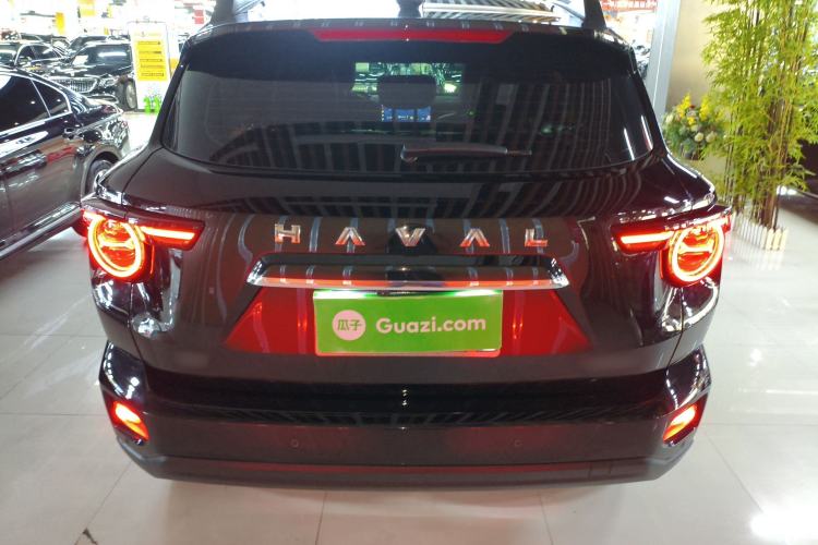 Used Haval H Dog 2023 2.0T Two-Wheel Drive Chaoye Version Plus Rear