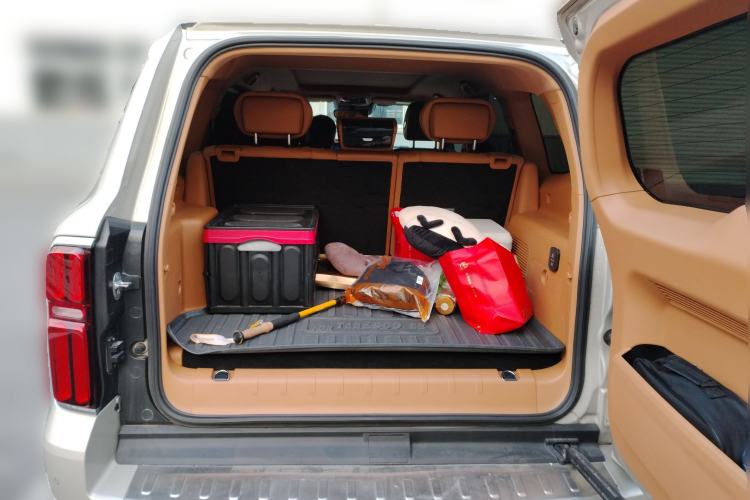 Used Tank 500 New Energy 2023 Hi4-T