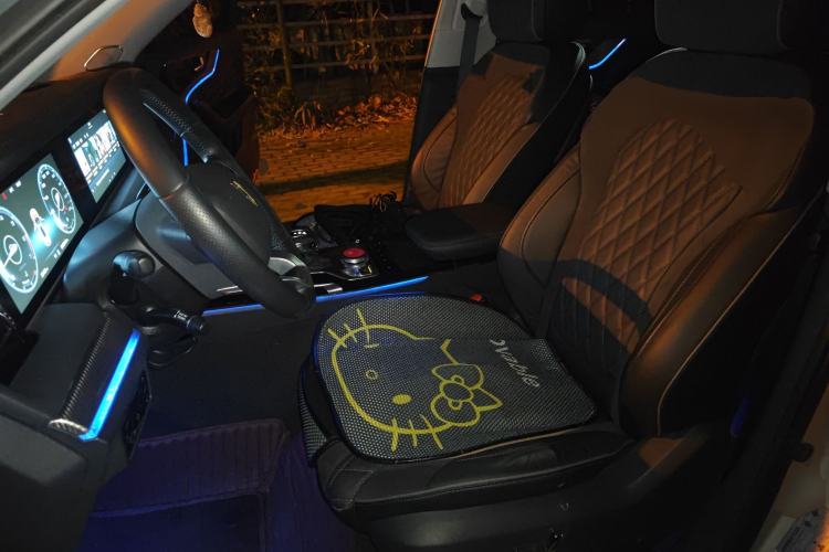 Used Hongqi HS5 2019 2.0T Smart Connect Flagship Edition