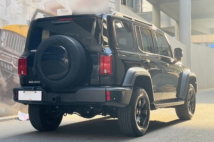 Used Tank 300 2024 2.0T Conqueror Exterior 4