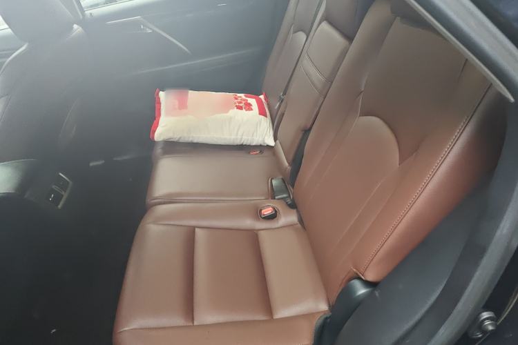 Used Lexus RX 2020 Revised Version 300 Two-Wheel Drive Elite Edition Left Rear Seat