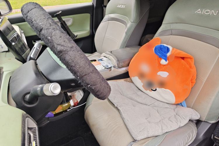 Used AION Y 2022 Plus 80 Smart Edition Left Front Seat