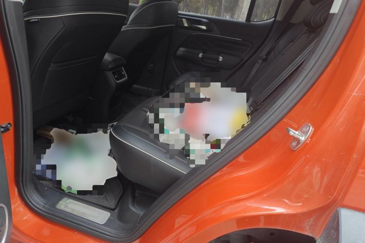 Used Tank 300 2021 Off-Road Edition 2.0T Conqueror