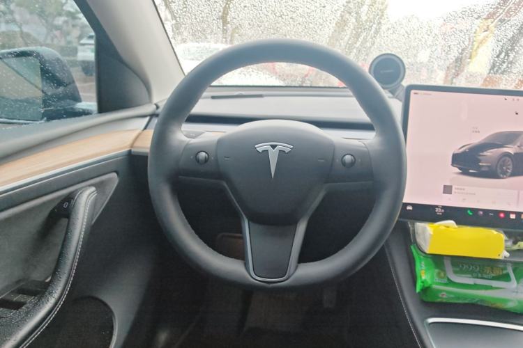 Used Tesla Model Y 2022 Revised Version Long-Range All-Wheel Drive