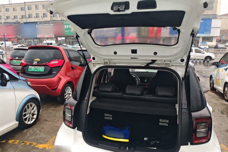 Used SOL E10X 2022 Flower Fairy Design Four-Leaf Clover Trunk