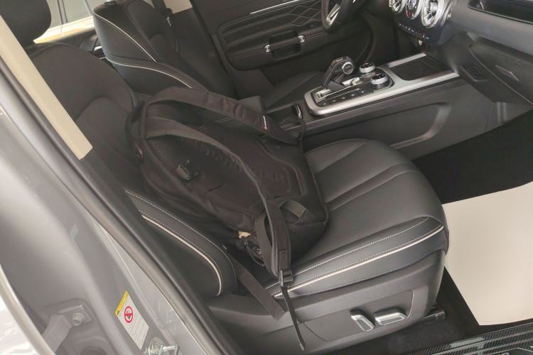 Used Tank 300 2024 2.0T Conqueror
