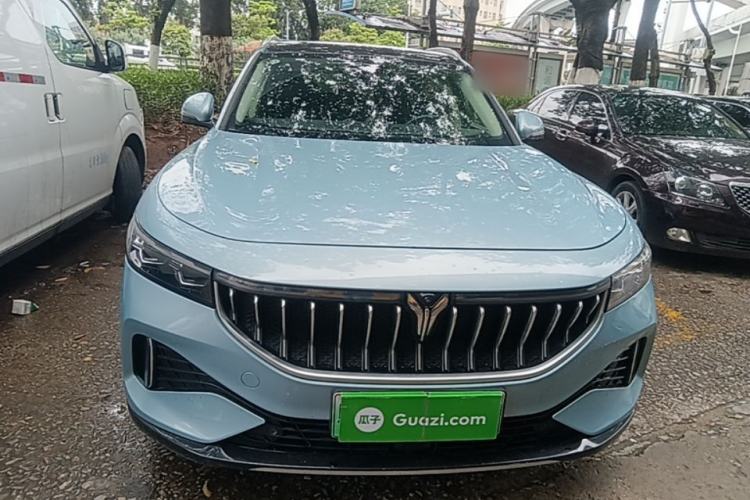 Used VOYAH FREE 2021 Two-Wheel Drive Standard Pure Electric City Edition