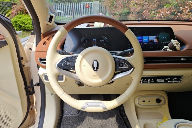 Used ORA Good Cat 2024 401 km Range Luxury Version 135 kW
