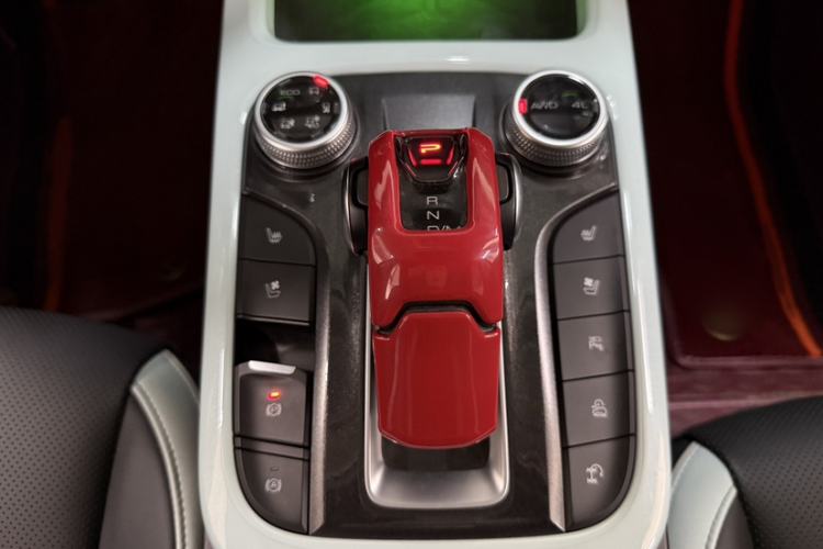 Used Tank 300 2021 City Edition 2.0T—Truly Stylish