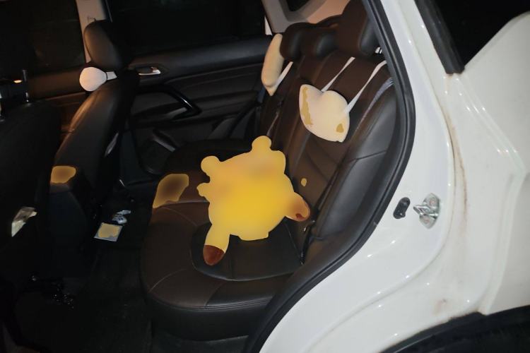 Used GAC Group Qizhi PHEV 2019 1.5L Smart Connect Premium Edition
