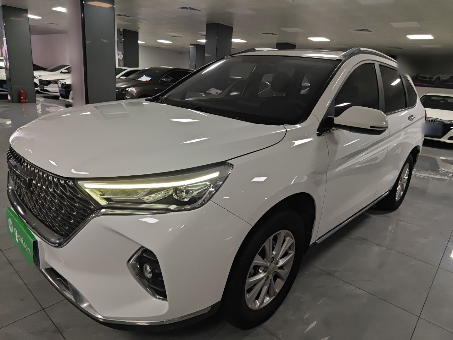 Parte inferior delantera