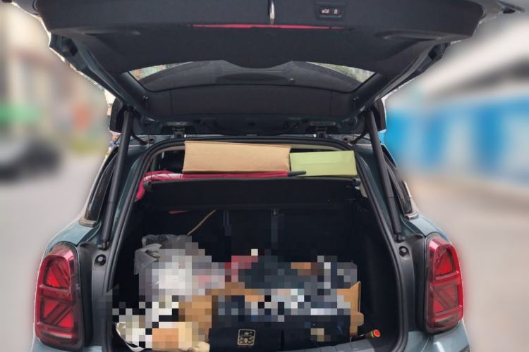 Used MINI Countryman 2021 2.0T COOPER S ALL4