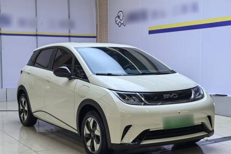 Used BYD Dolphin 2025 420km Free Edition
