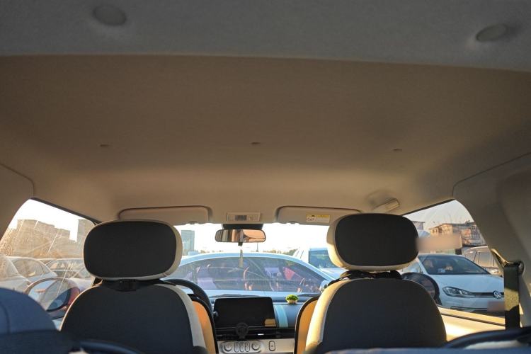 Used Qiyuan Lumin 2023 205km Xiangqin Version
