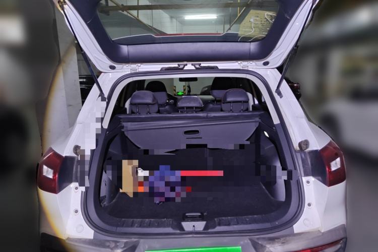 Used BORGWARD BX5 2017 20TGDI Automatic Two-Wheel Drive Pioneer Edition
