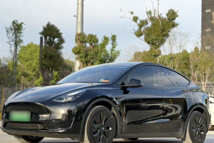 Used Tesla Model Y 2022 Revised Version Rear-Wheel Drive