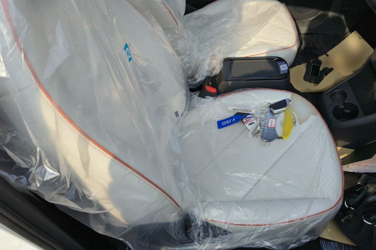 Used Chery Little Ant 2024 Facelifted 321km Beloved Edition Right Front Seat