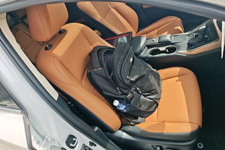 Used Lexus NX 2020 300h Front-Drive FENGSHANG Version China VI Standard