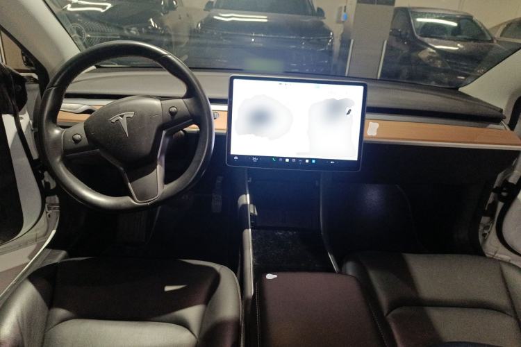 Used Tesla Model 3 (Import) 2019 Long-Range Rear-Wheel-Drive Version
