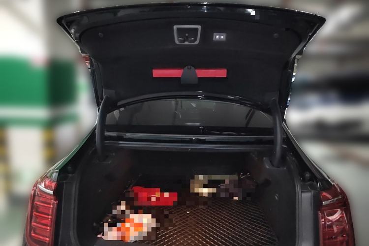 Used Hongqi H9 2022 2.0T Smart Connect Flagship Edition
