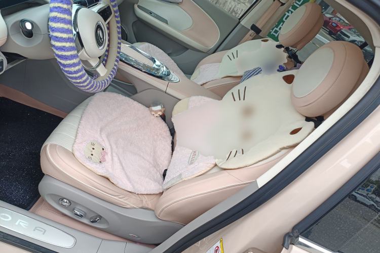 Used ORA Ballet Cat 2022 401 km Nutcracker Edition