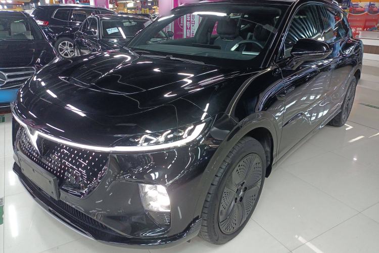 Used VOYAH COURAGE 2024 Four-Wheel Drive Global Edition