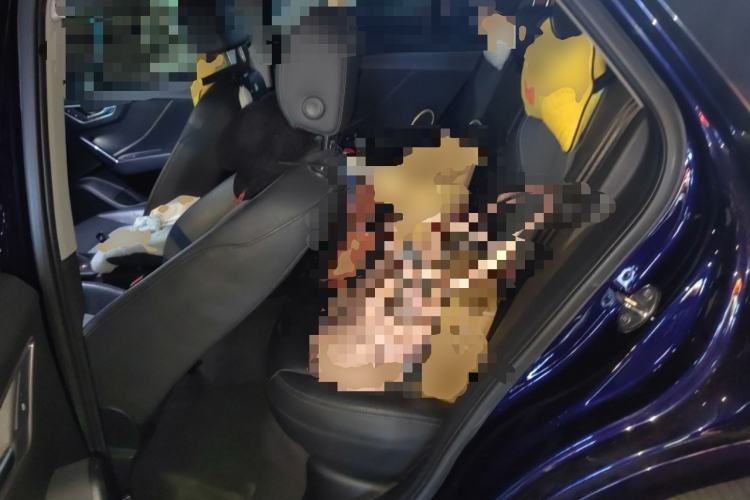 Used Audi Q2L 2020 35 TFSI Fashionable and Elegant Model