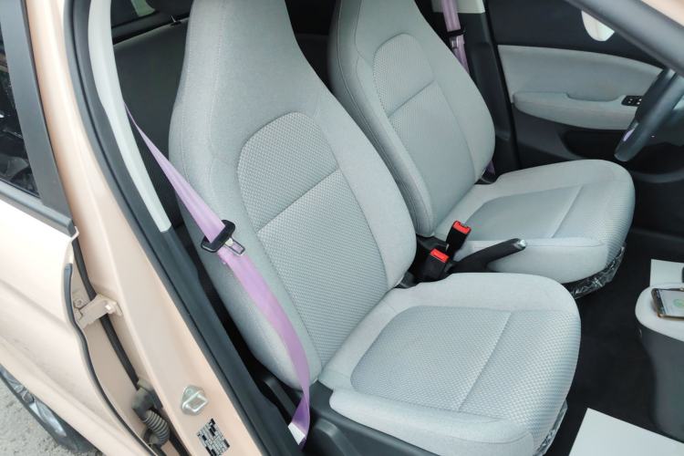 Used Leapmotor T03 2021 400 Micro-Sugar Version Right Front Seat