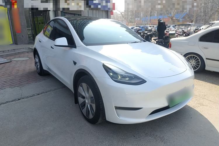 Used Tesla Model Y 2021 Standard Range Rear-Wheel Drive Version
