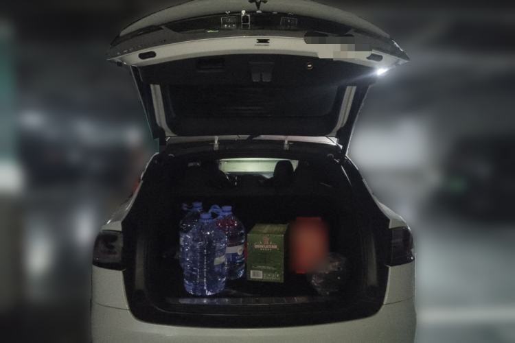 Used Tesla Model X 2017 X 100D Long Range Edition