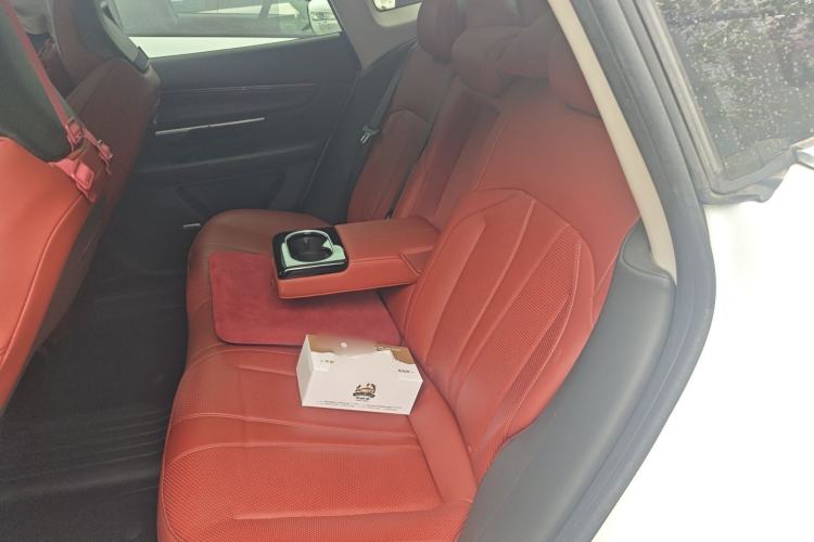 Used XPeng P7 2020 670E Left Rear Seat