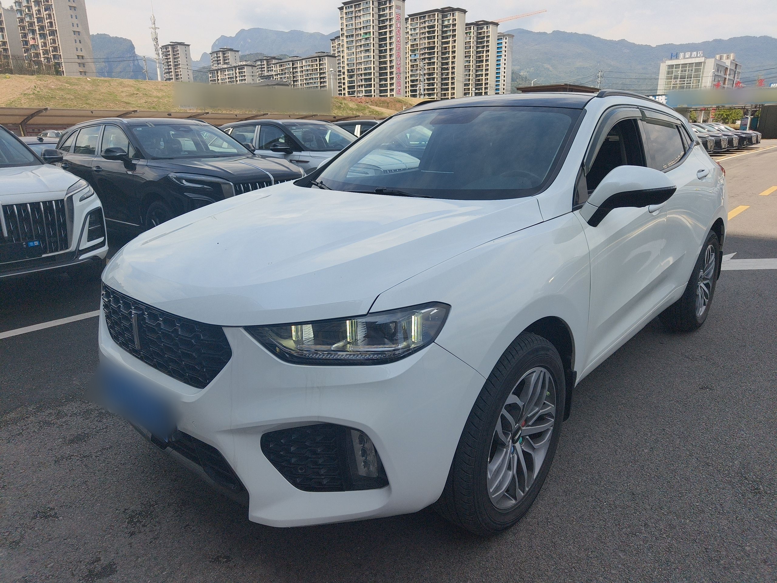 Parte inferior delantera