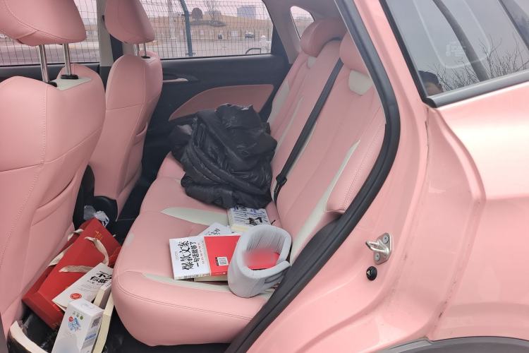 Used NETA V 2022 Chao 400 Lite Pink Custom Edition