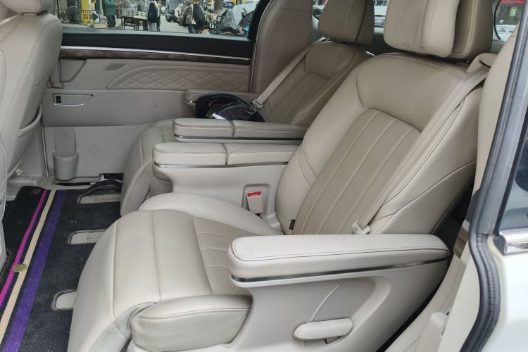 Used GAC Trumpchi M8 2018 320T Luxury Edition Left Rear Seat