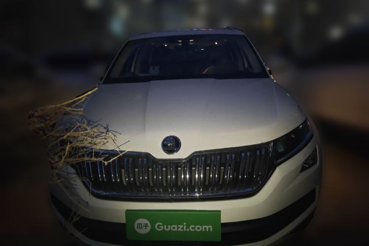 Used Skoda Kodiaq 2019 Facelifted TSI330 7-Seater Two-Wheel-Drive Luxury Enjoyment Edition China VI Standard
