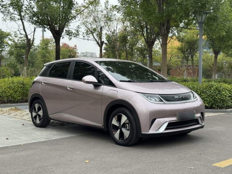 Used BYD Dolphin 2023 420 km Free Version — 13