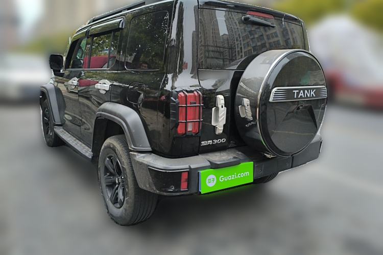 Used Tank 300 2024 2.0T Conqueror
