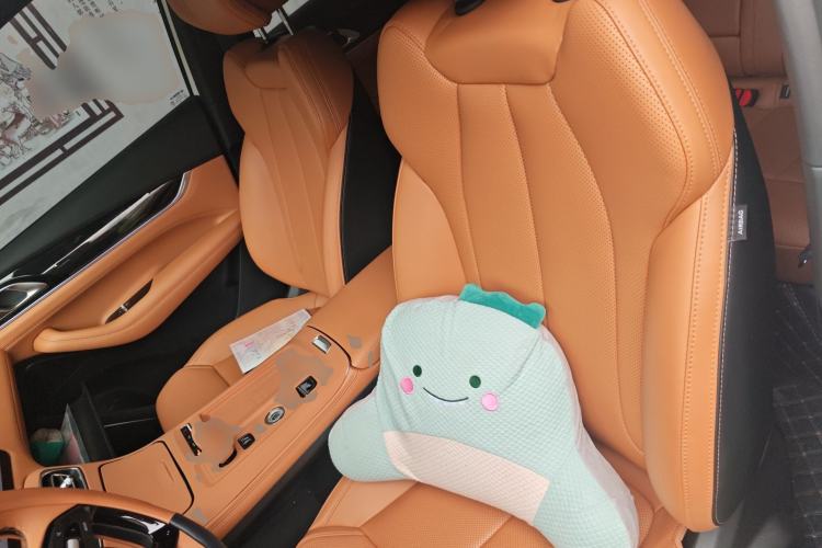 Used Geely Auto FX11 2025 4th Generation 1.5TD DCT - Shanhe Left Front Seat