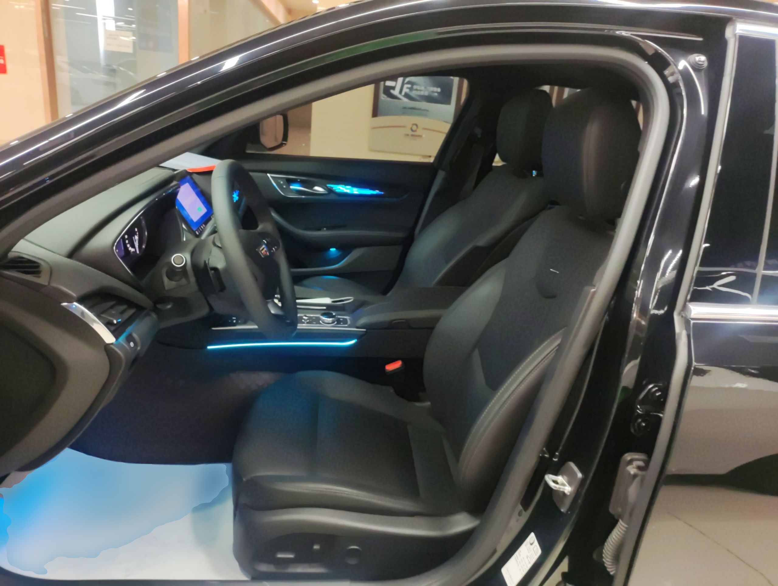 Interior delantero