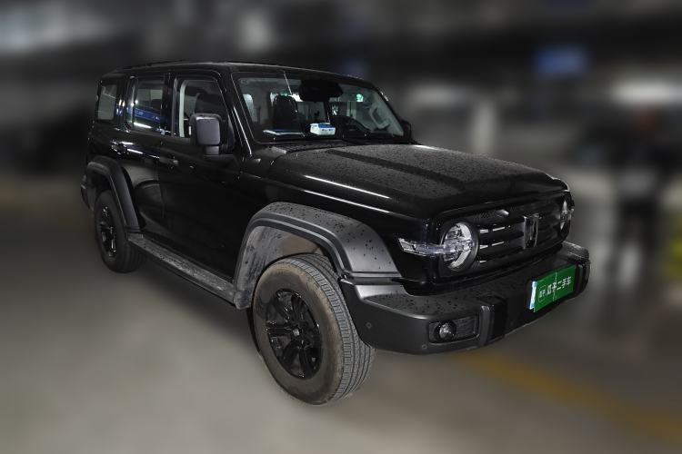 Used Tank 300 2025 2.4T Diesel Version
