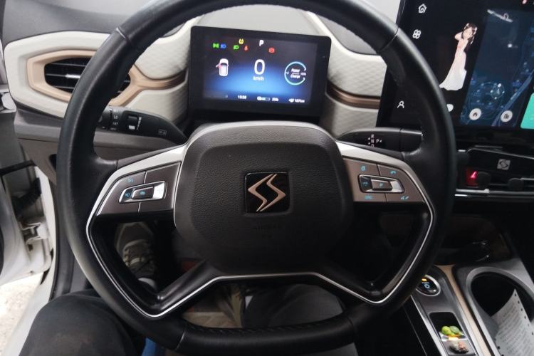 Used SOL E10X 2022 Flower Fairy Style Baby's Breath Steering Wheel